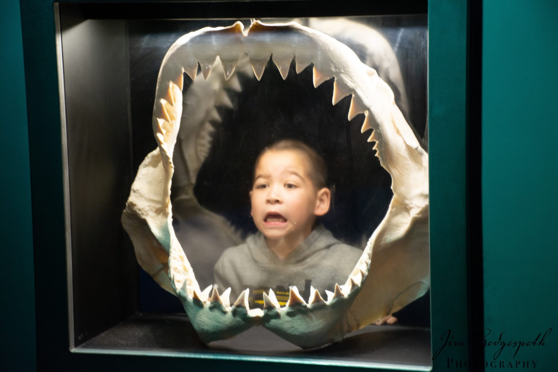 2016-01-31FloridaDSC_5061-scaled