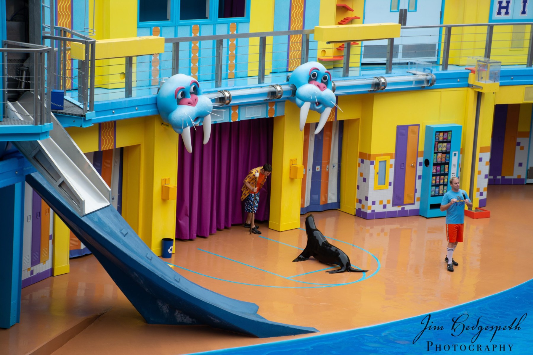 2016-01-31FloridaDSC_5062-scaled