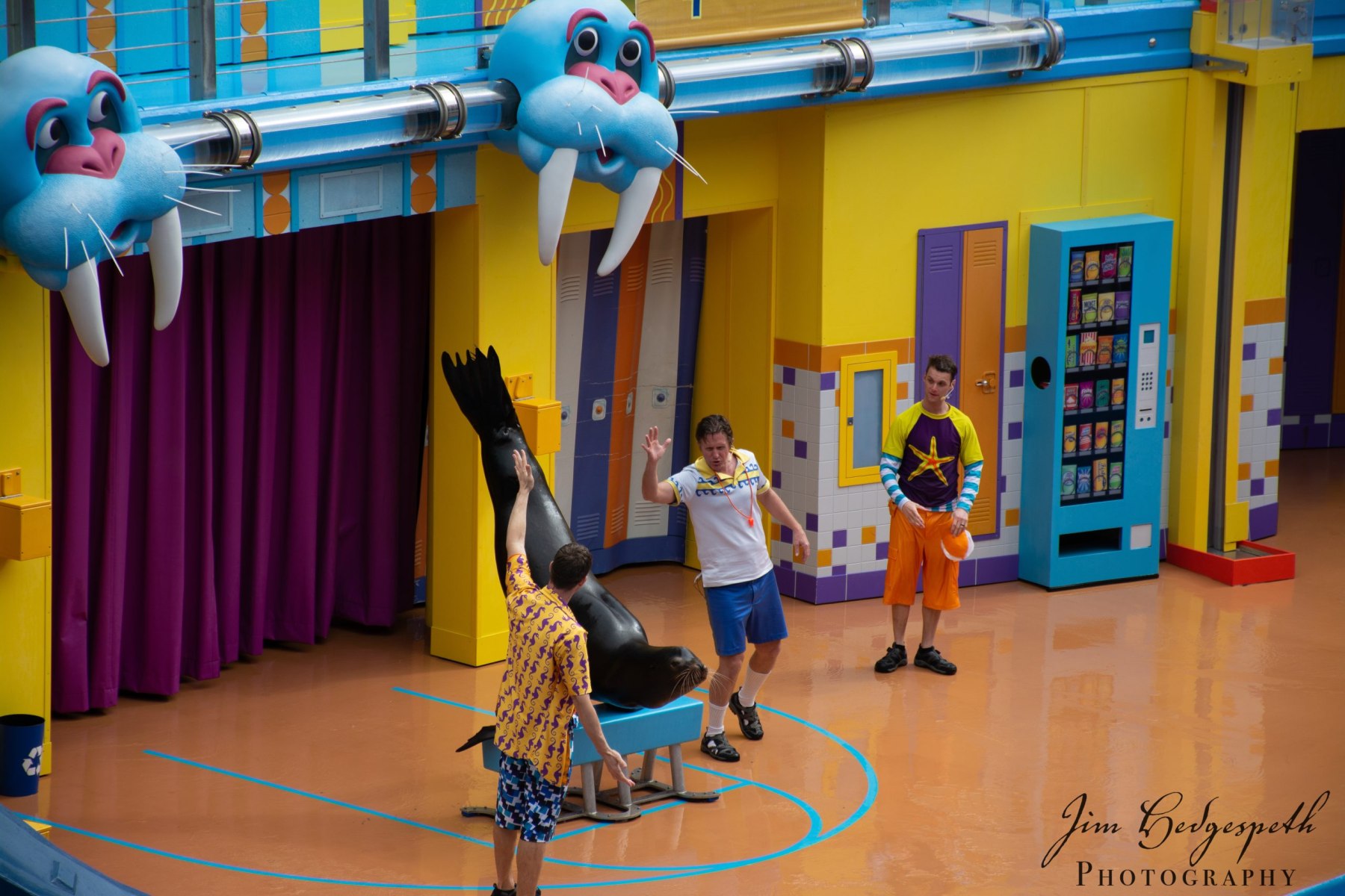 2016-01-31FloridaDSC_5066-scaled