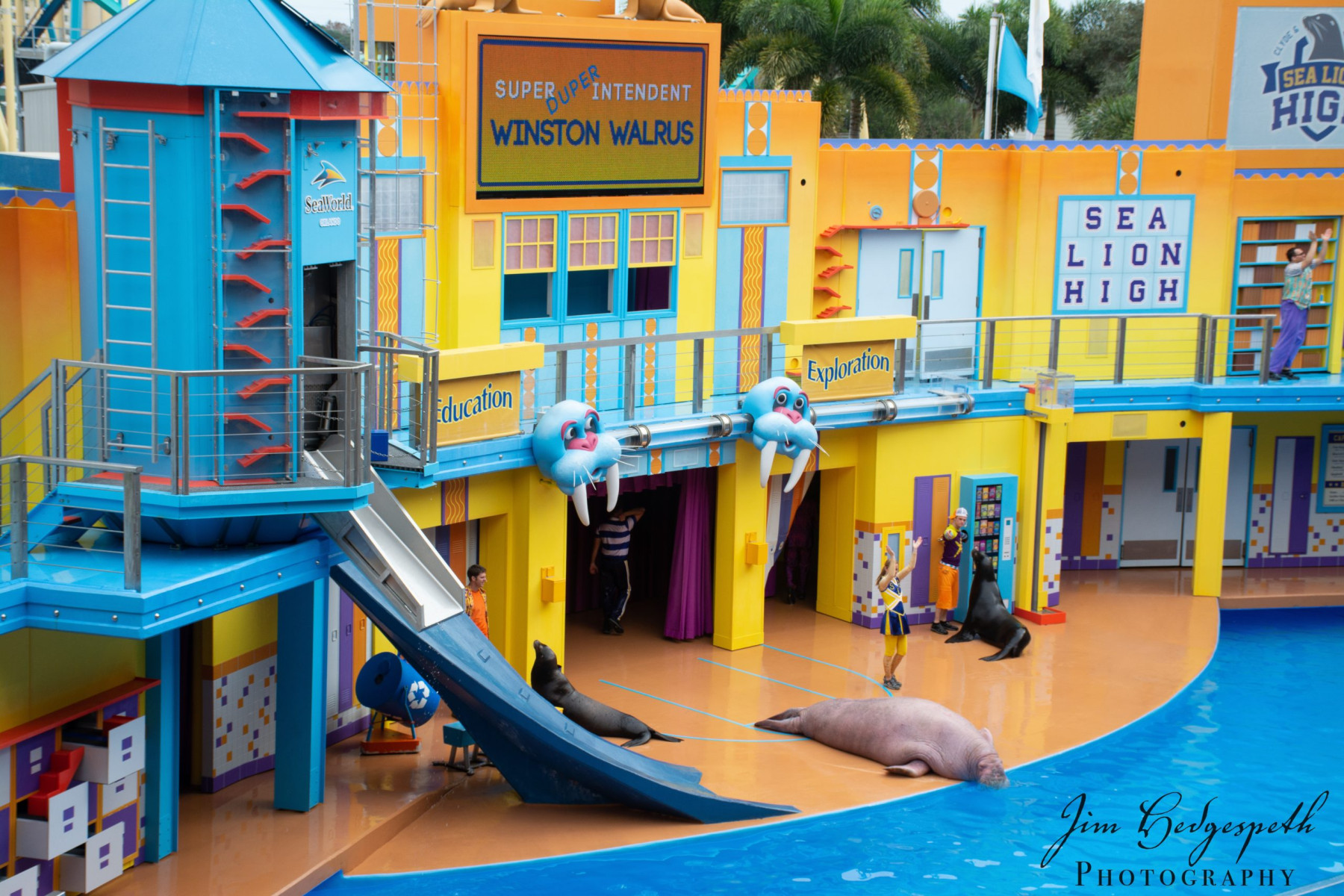 2016-01-31FloridaDSC_5067-scaled