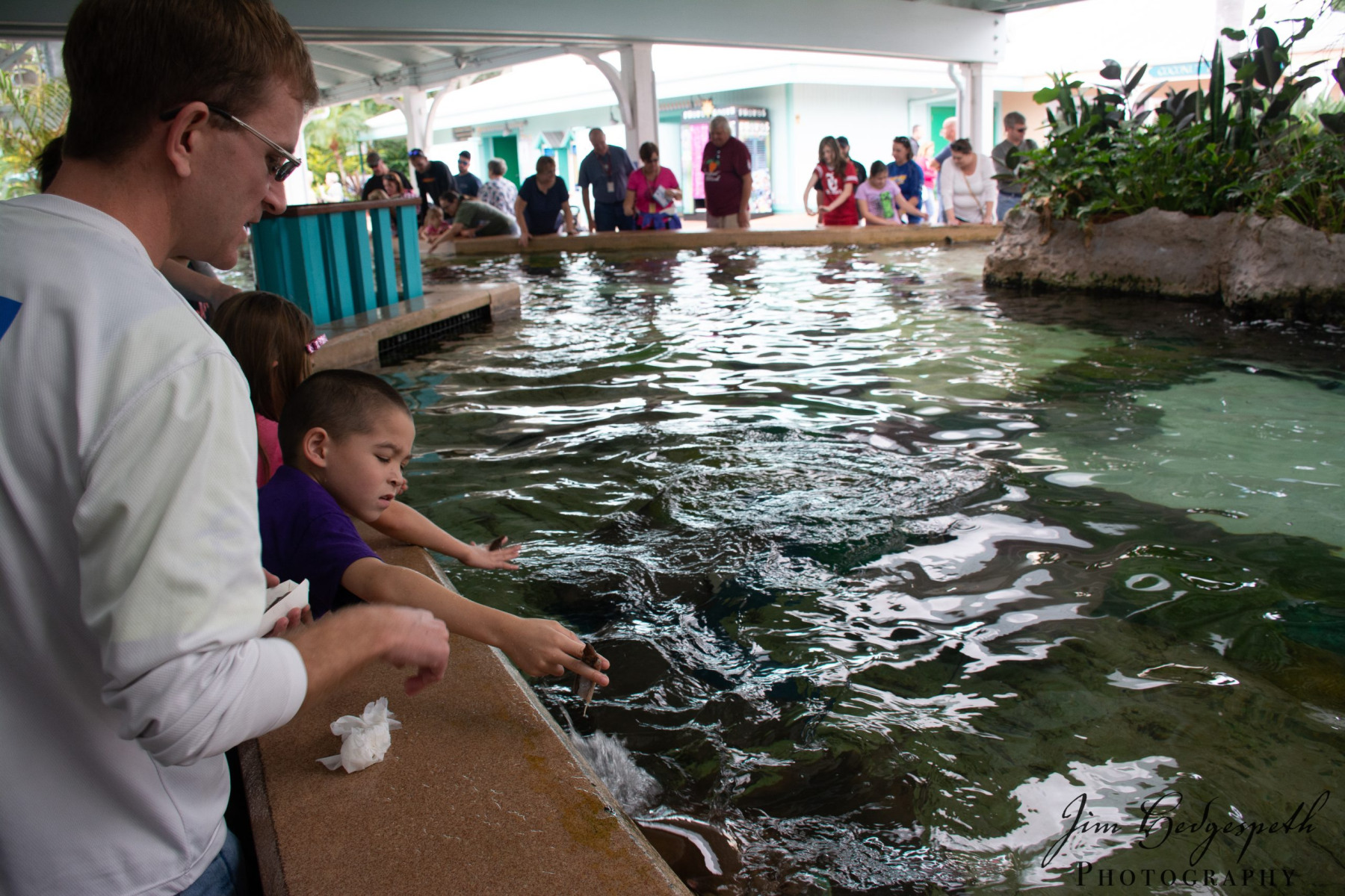 2016-01-31FloridaDSC_5080-scaled
