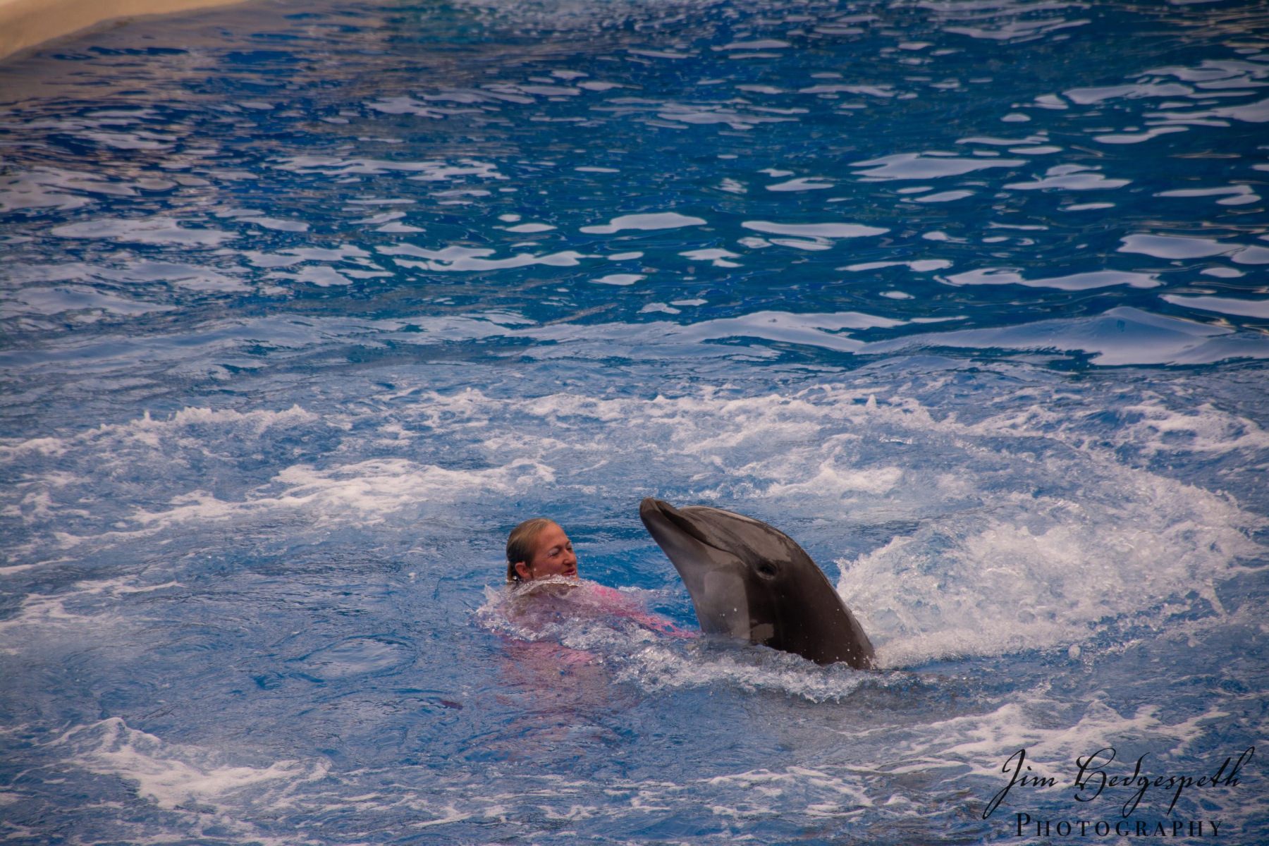 2016-01-31FloridaDSC_5081-scaled