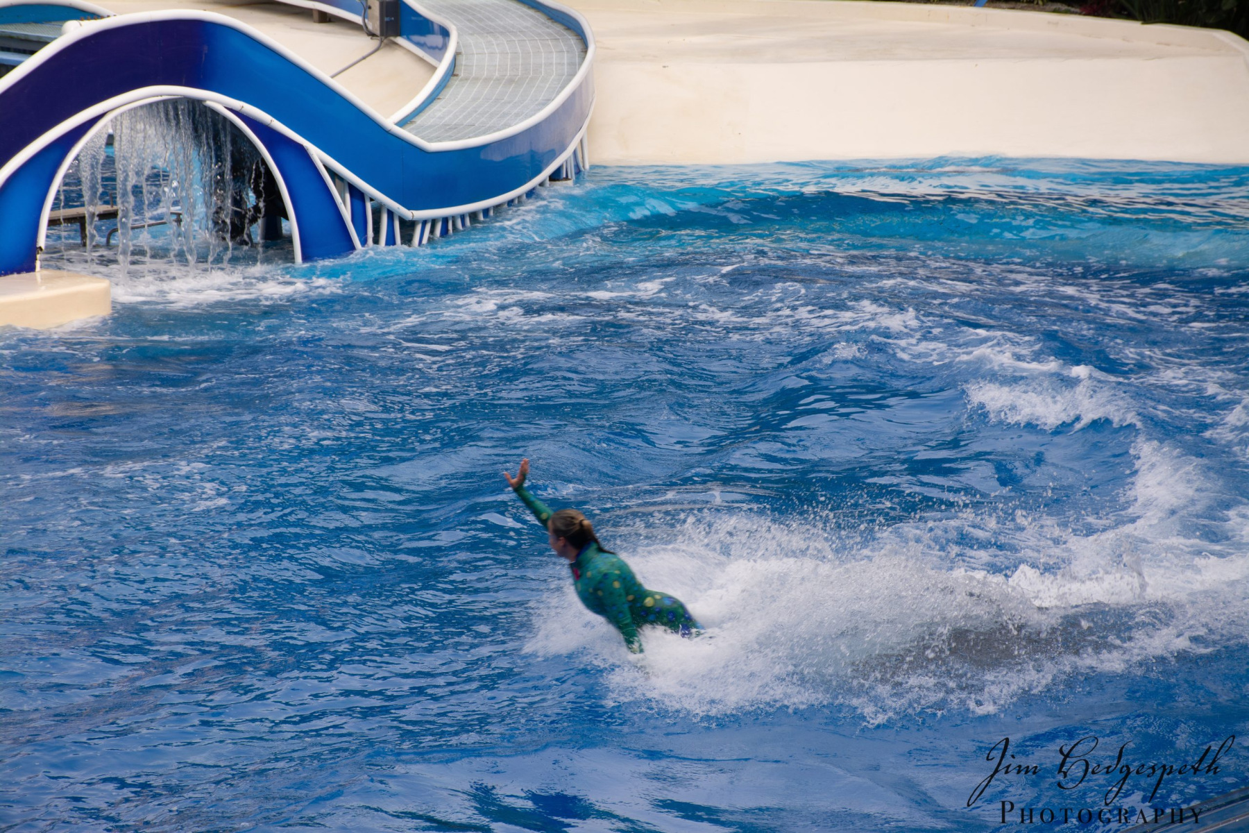 2016-01-31FloridaDSC_5082-scaled
