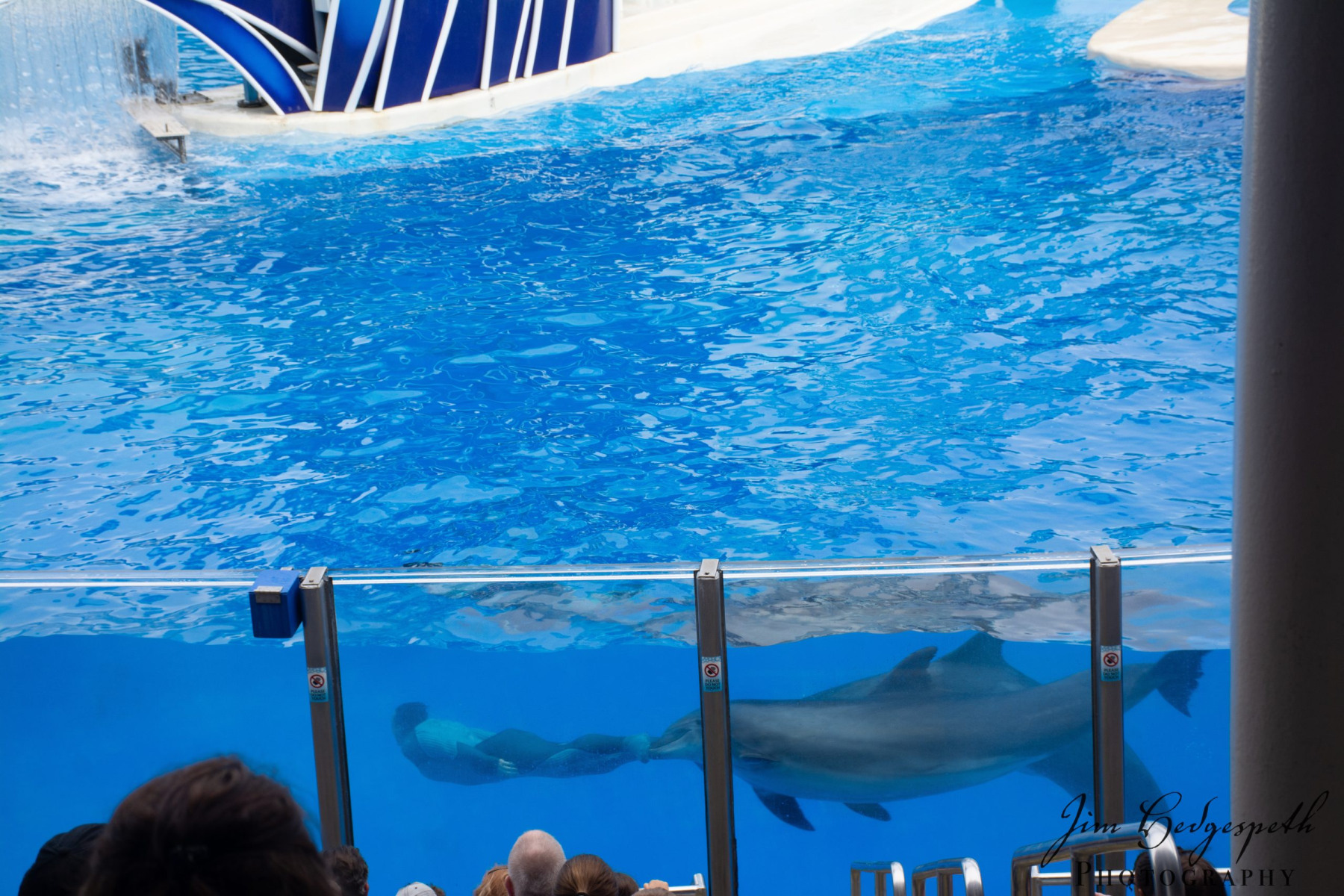 2016-01-31FloridaDSC_5084-scaled