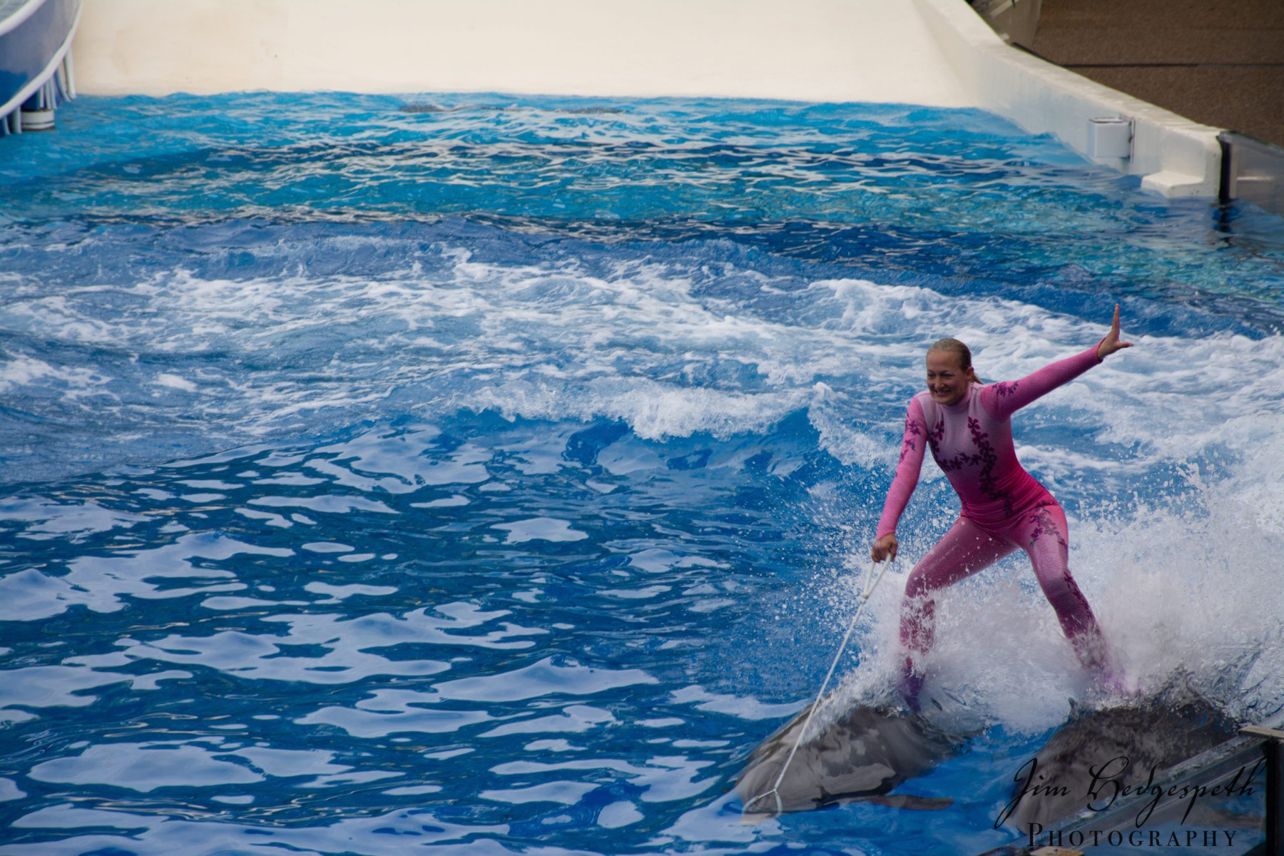 2016-01-31FloridaDSC_5089-scaled