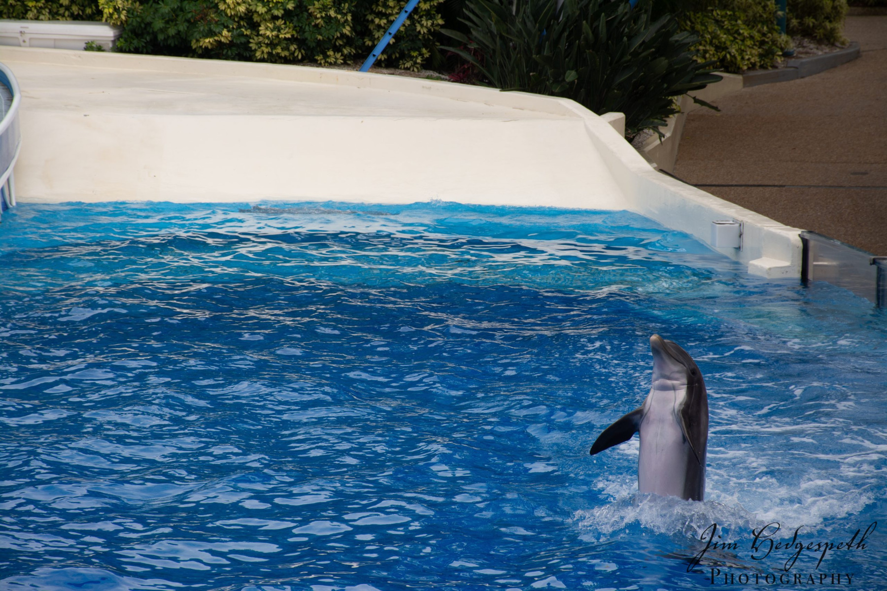 2016-01-31FloridaDSC_5090-scaled