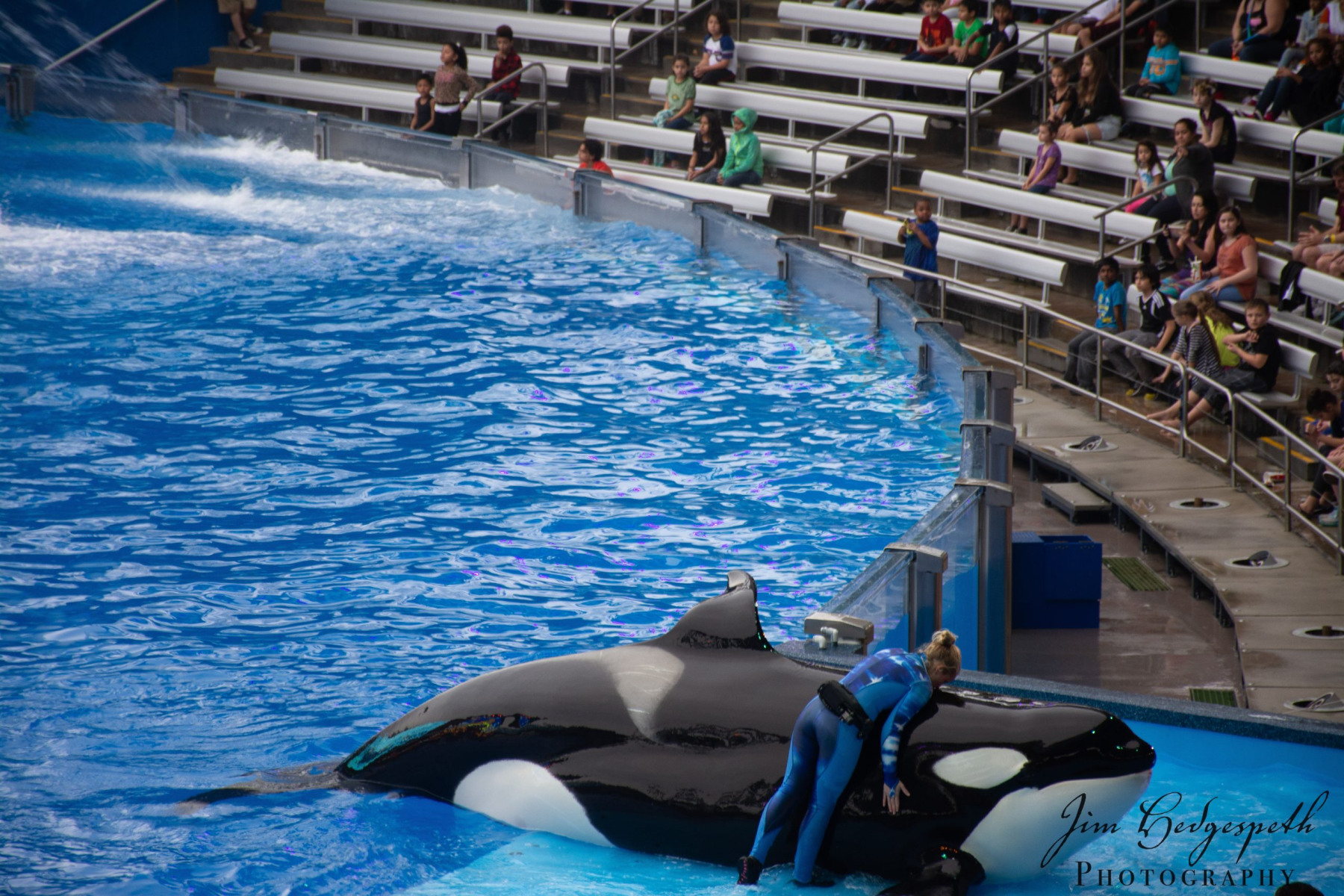 2016-01-31FloridaDSC_5095-scaled