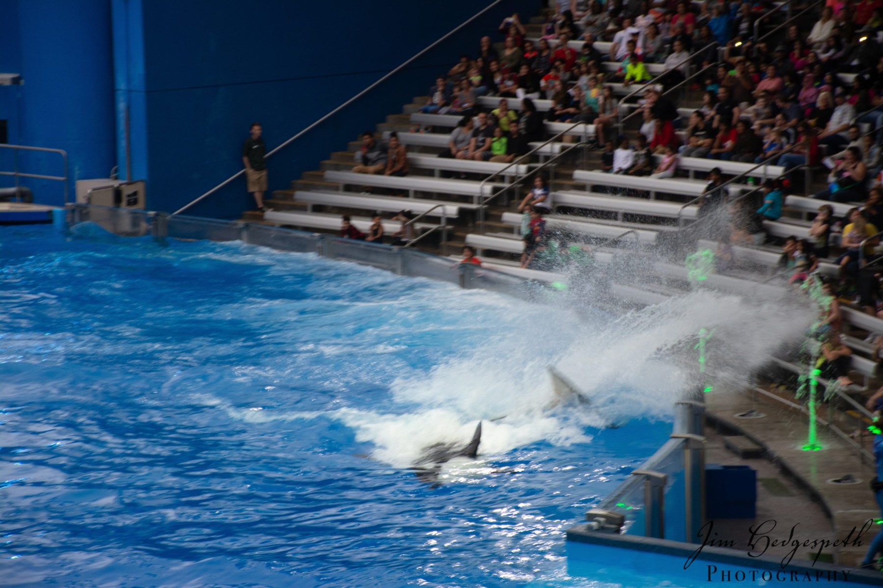 2016-01-31FloridaDSC_5097-scaled