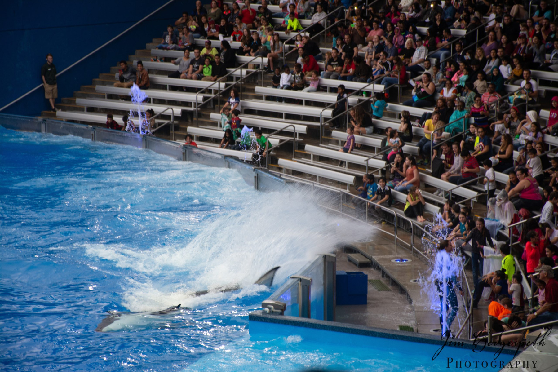 2016-01-31FloridaDSC_5098-scaled