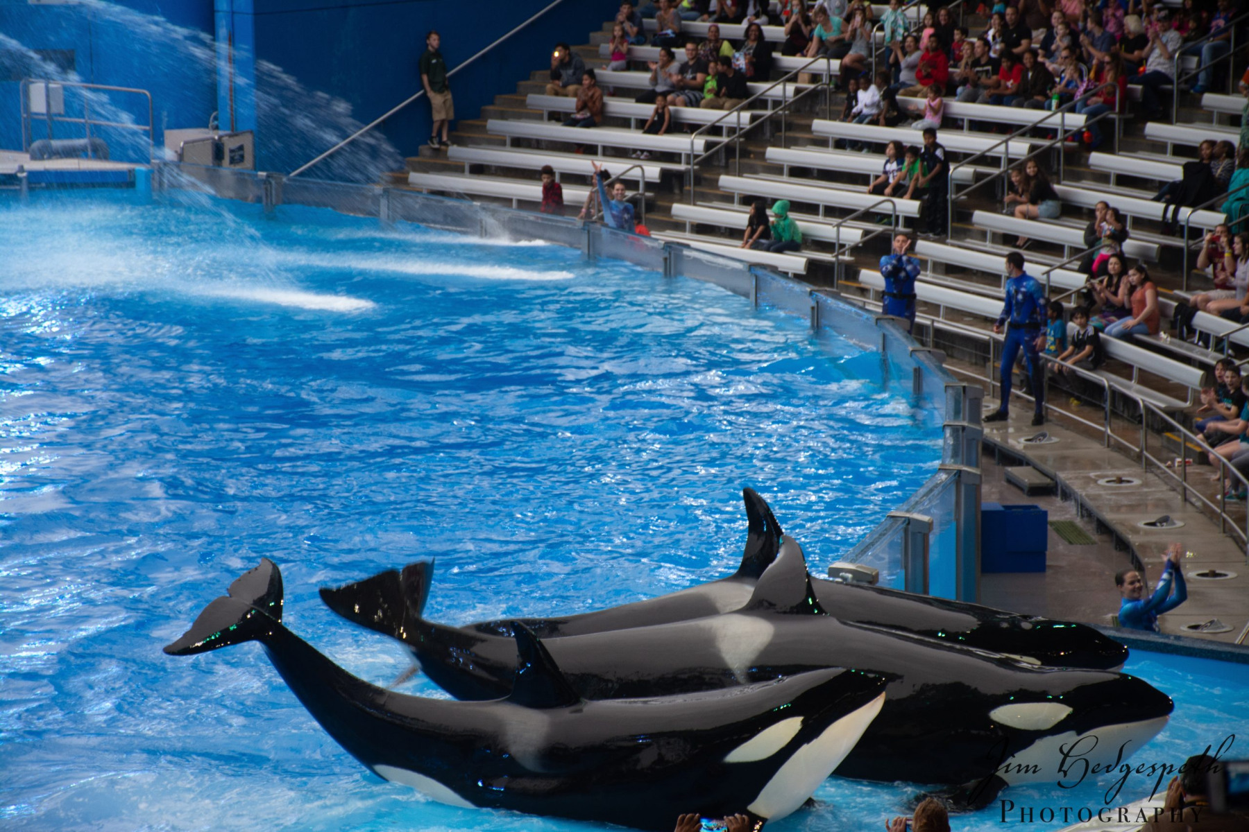 2016-01-31FloridaDSC_5099-scaled