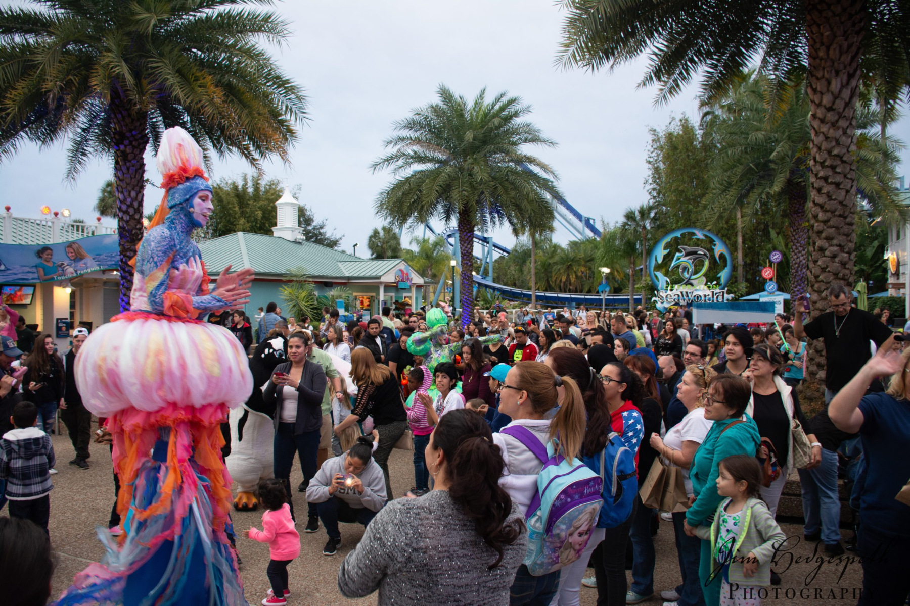 2016-01-31FloridaDSC_5105-scaled