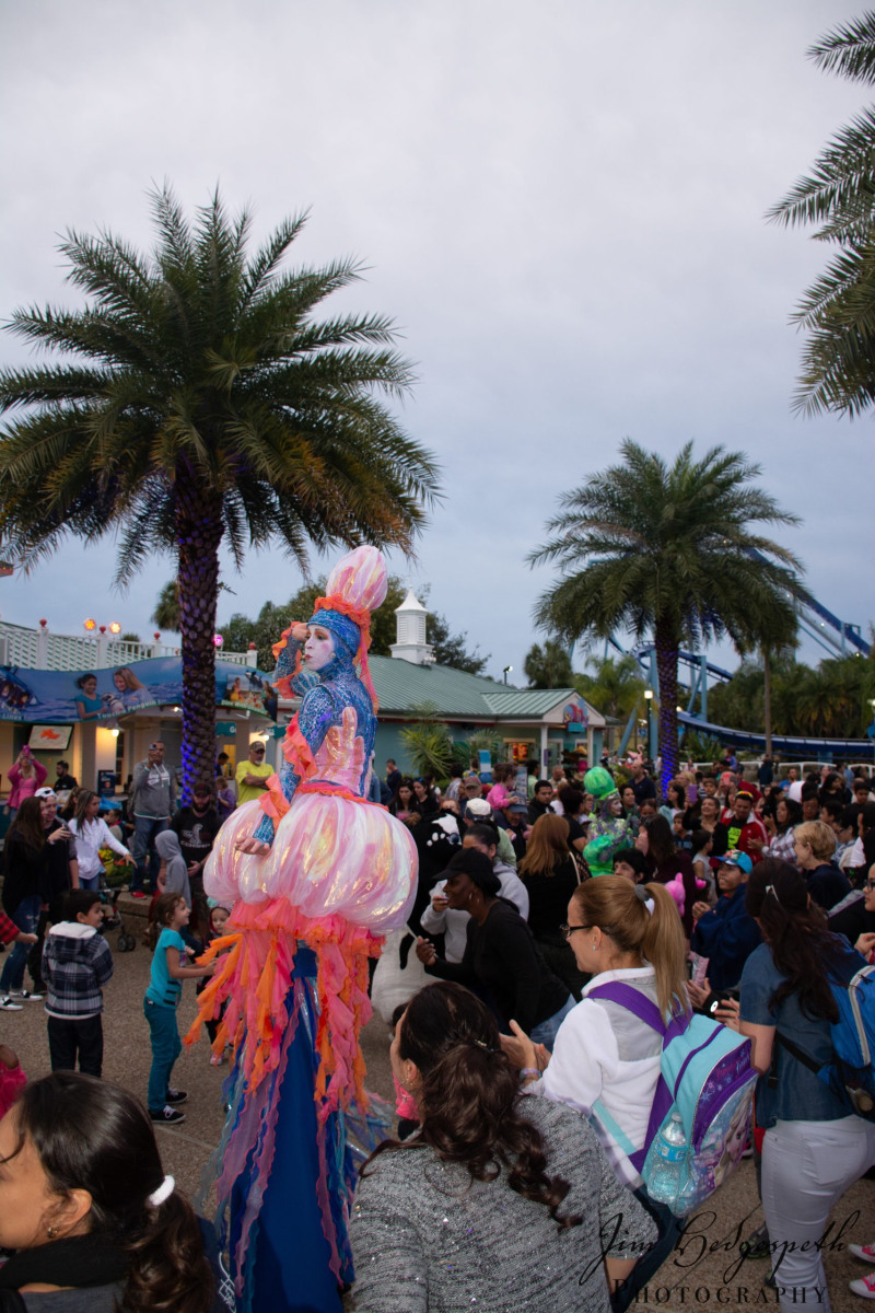 2016-01-31FloridaDSC_5107-scaled