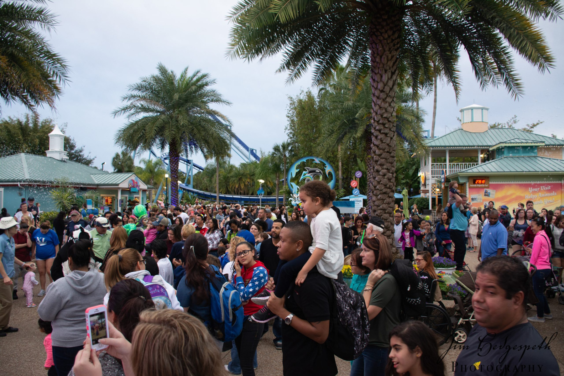 2016-01-31FloridaDSC_5109-scaled