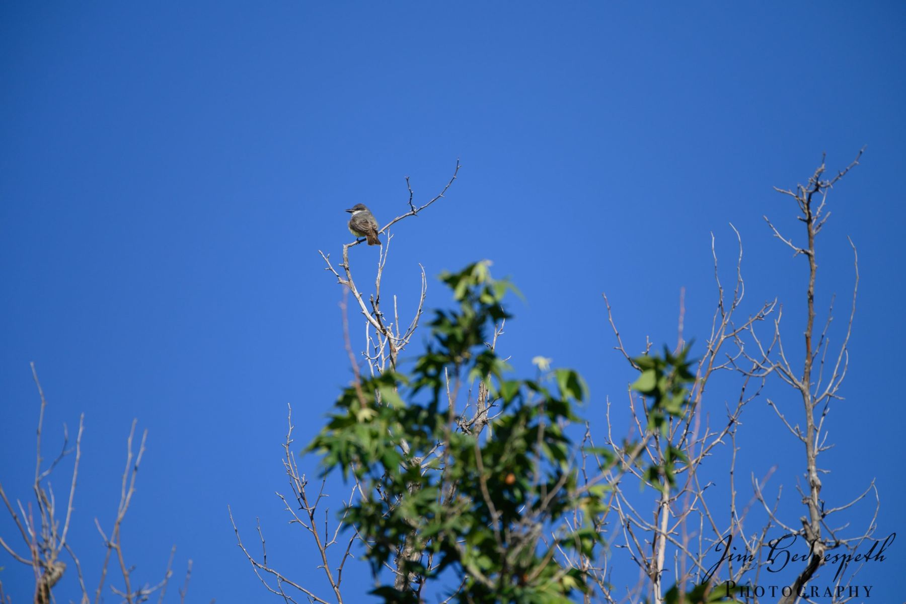 2019-05-14CoronadoNationalForest_SanPedroHouseDSC_1925-scaled