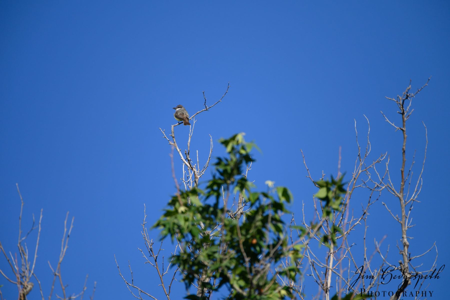2019-05-14CoronadoNationalForest_SanPedroHouseDSC_1927-scaled