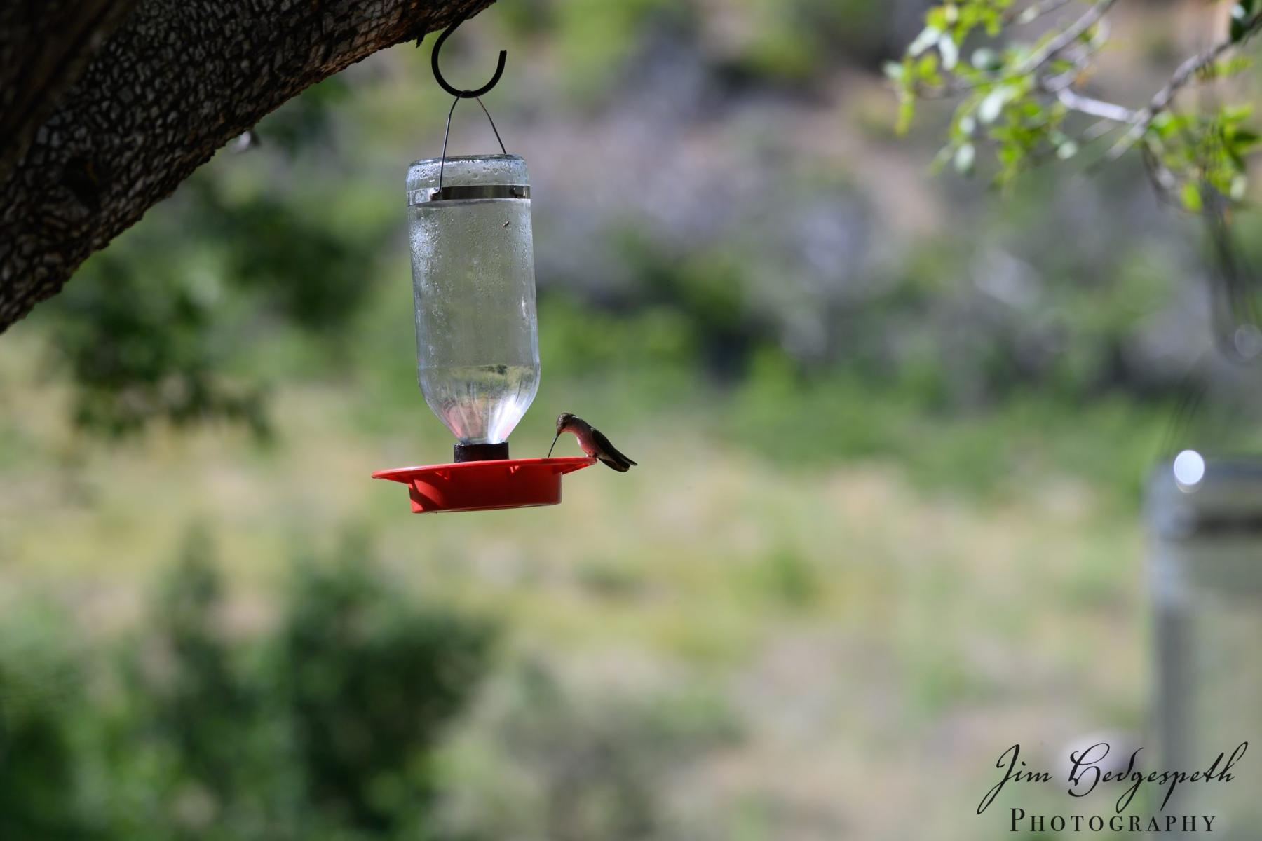 2019-05-14CoronadoNationalForest_SanPedroHouseDSC_1936-scaled