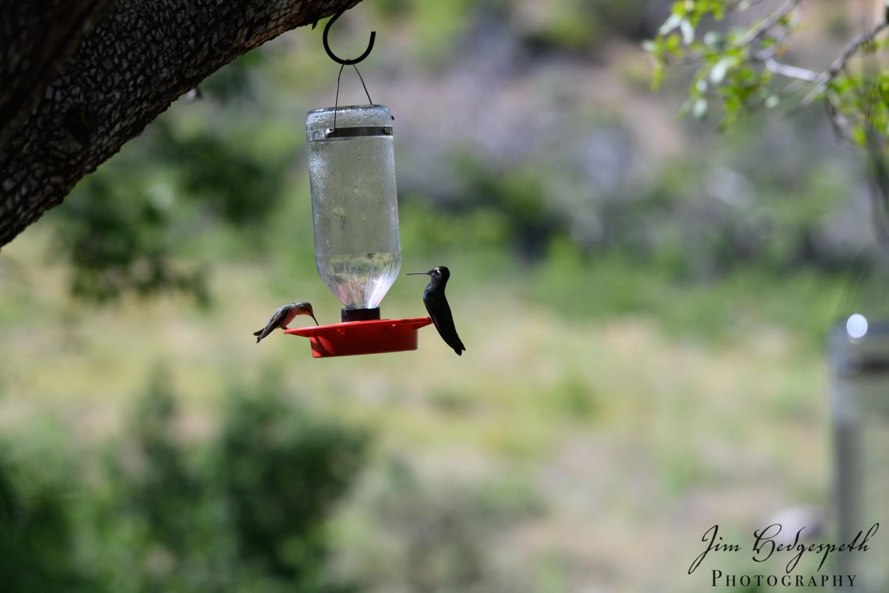 2019-05-14CoronadoNationalForest_SanPedroHouseDSC_1938-scaled