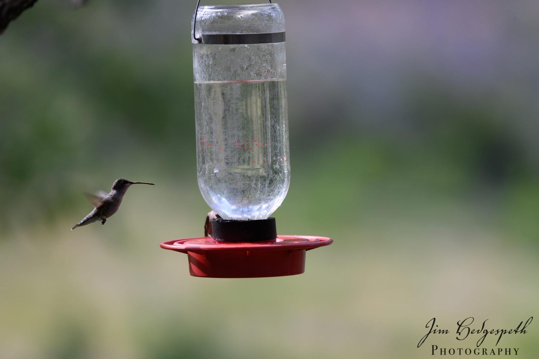 2019-05-14CoronadoNationalForest_SanPedroHouseDSC_1953-scaled