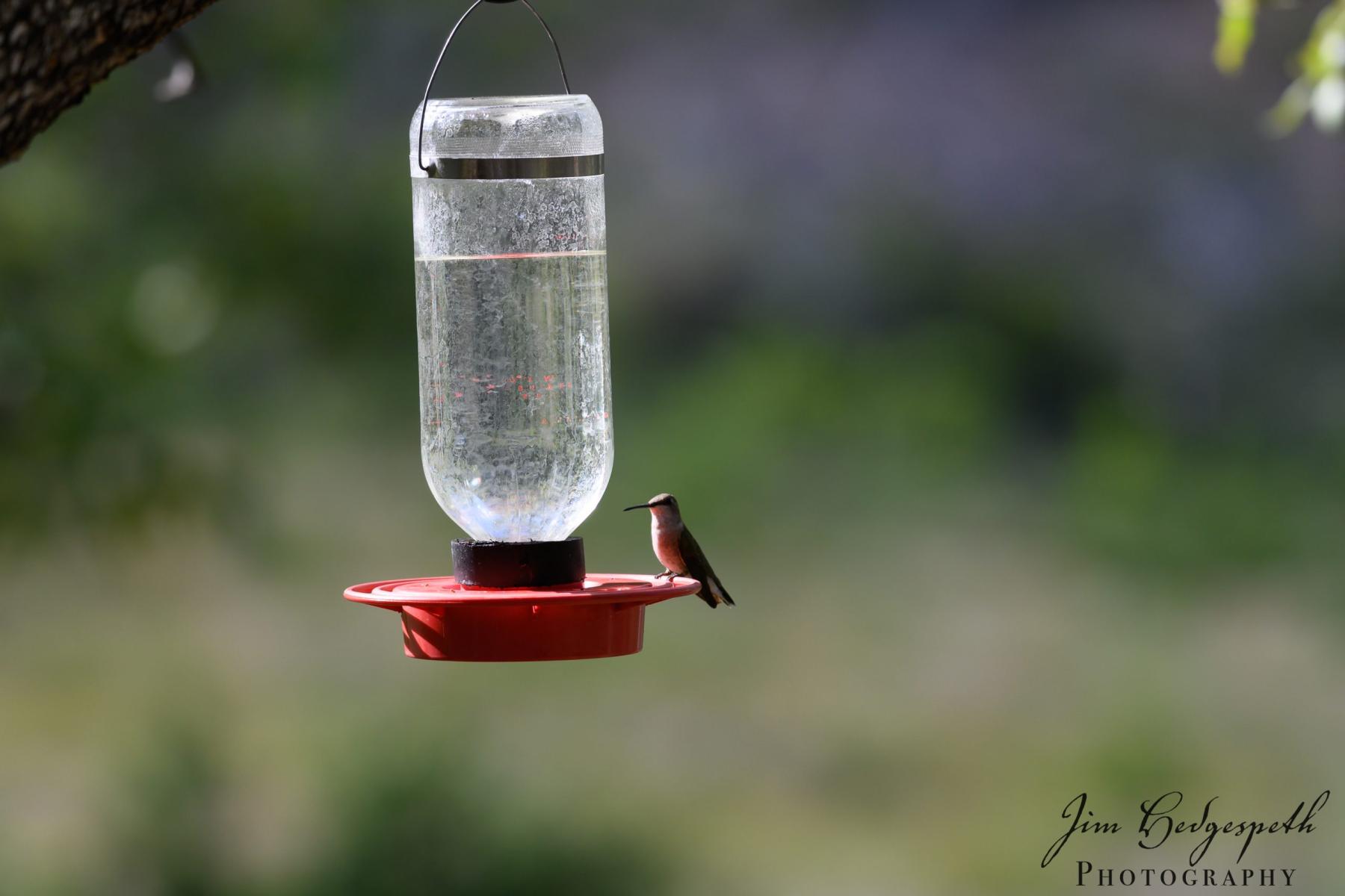 2019-05-14CoronadoNationalForest_SanPedroHouseDSC_1957-scaled