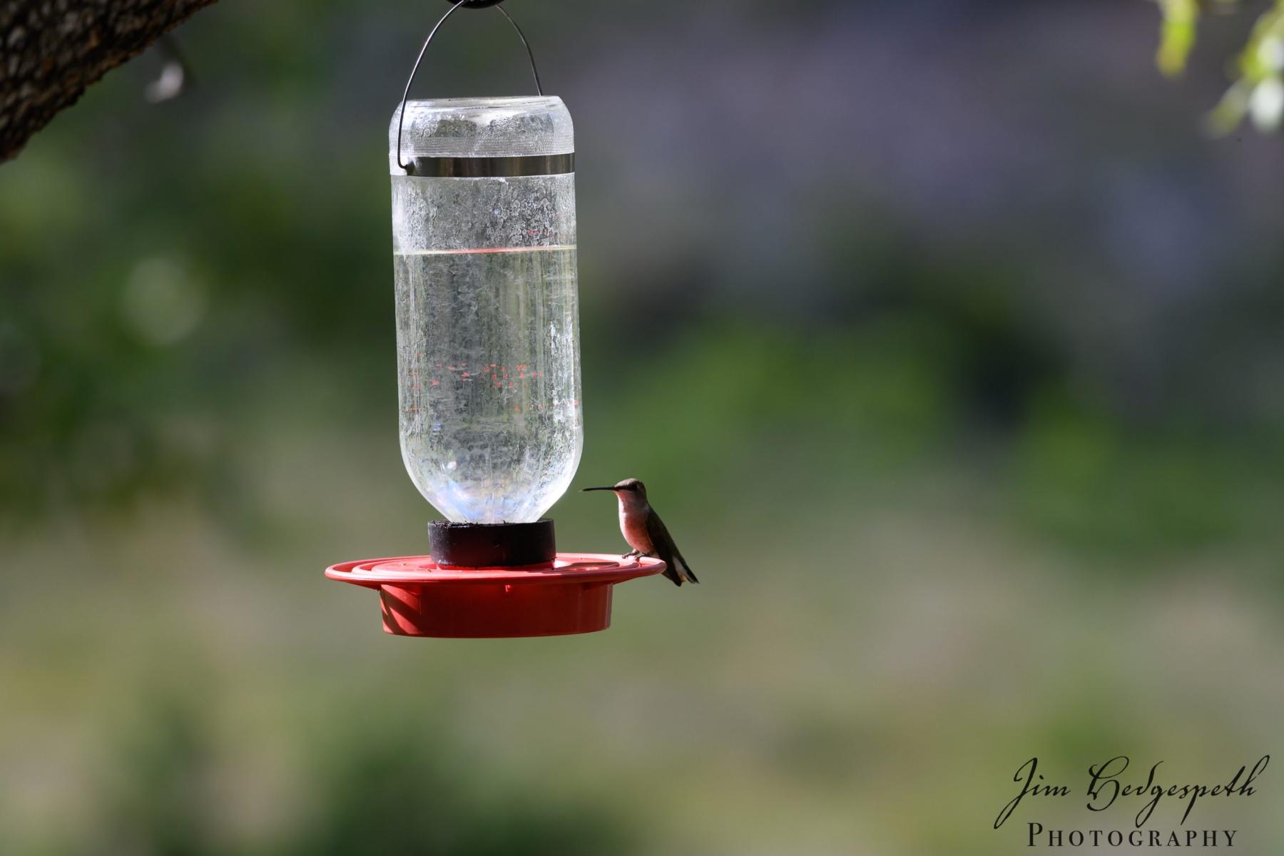 2019-05-14CoronadoNationalForest_SanPedroHouseDSC_1958-scaled