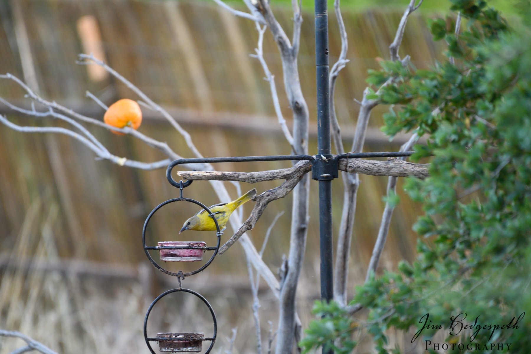2019-05-14CoronadoNationalForest_SanPedroHouseDSC_1971-scaled