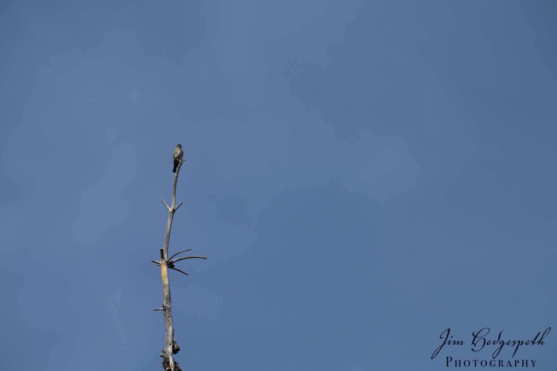 2019-05-16Patagonia_SierraVista_RioRicoDSC_2025-scaled