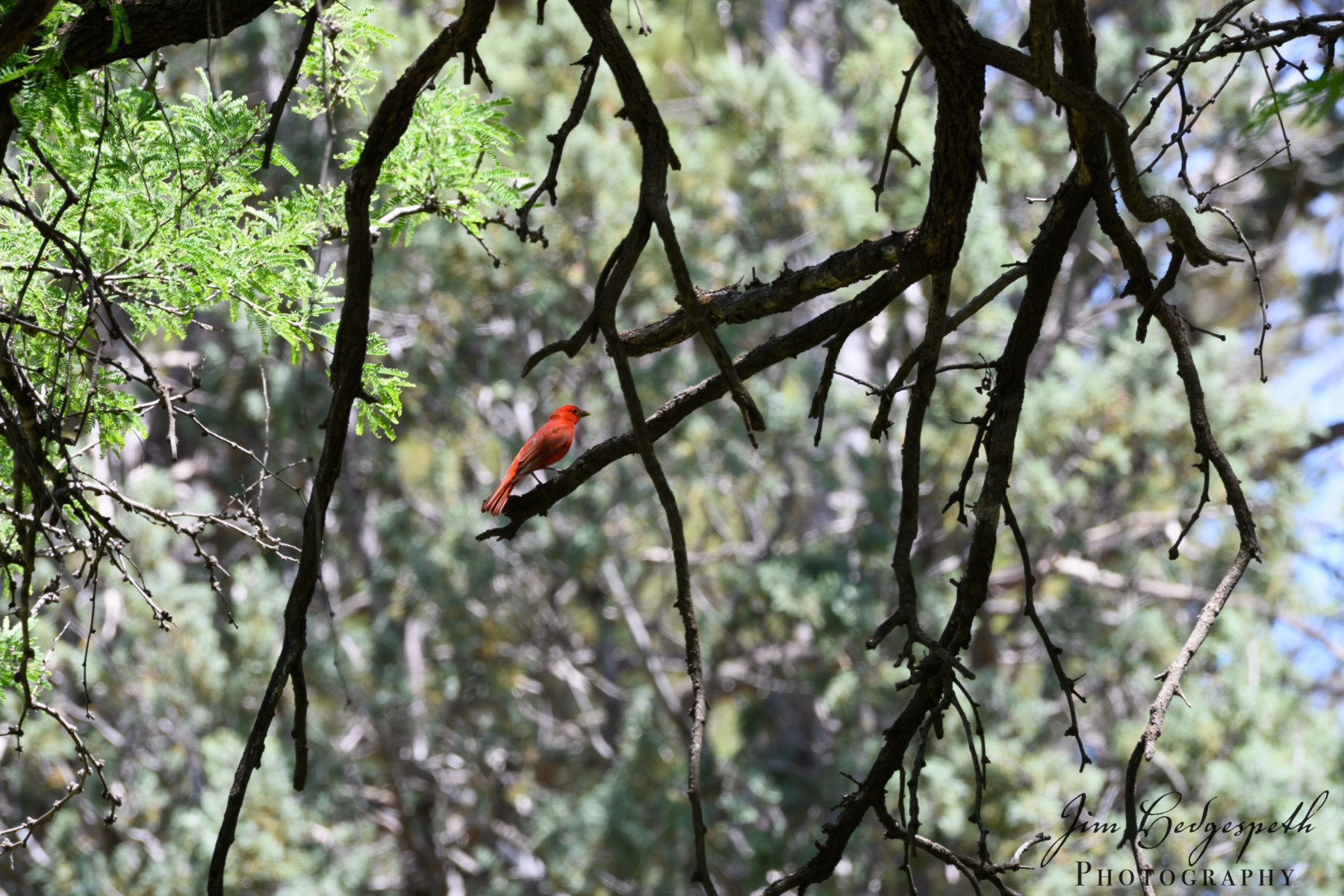 2019-05-16Patagonia_SierraVista_RioRicoDSC_2036-scaled