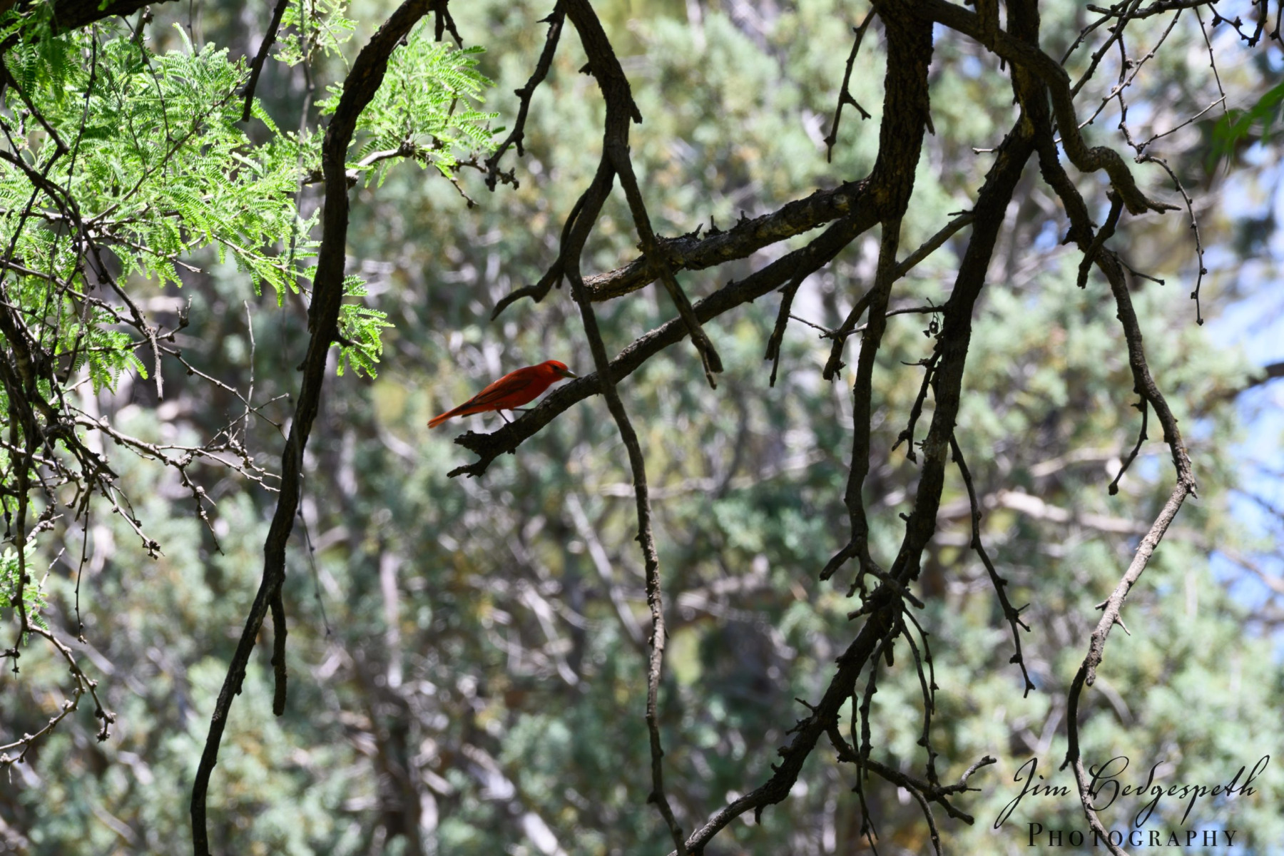2019-05-16Patagonia_SierraVista_RioRicoDSC_2039-scaled