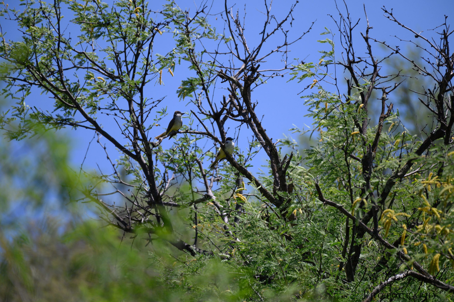 2019-05-16Patagonia_SierraVista_RioRicoDSC_2086-scaled