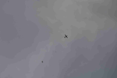 2022-10-02AlbuquerqueBalloonFiestaDSC_2005-scaled