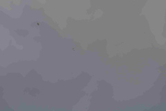 2022-10-02AlbuquerqueBalloonFiestaDSC_2009-scaled