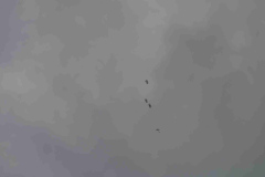 2022-10-02AlbuquerqueBalloonFiestaDSC_2010-scaled