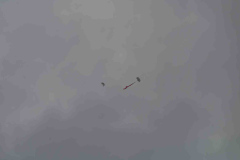 2022-10-02AlbuquerqueBalloonFiestaDSC_2015-scaled