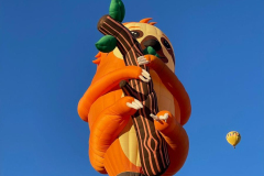 2022-10-02AlbuquerqueBalloonFiestaIMG_7093-scaled