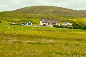 2024-06-25 Kirkwall (OrkneyIslands), Scotland