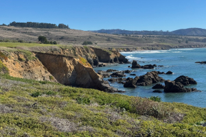 2025-01-12 Pigeon Point