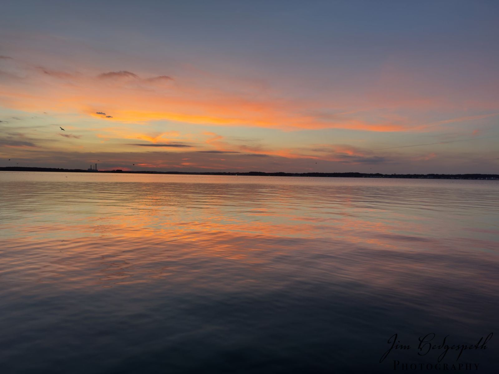 2026-09-08SeagrassAfterSunset-4764-scaled