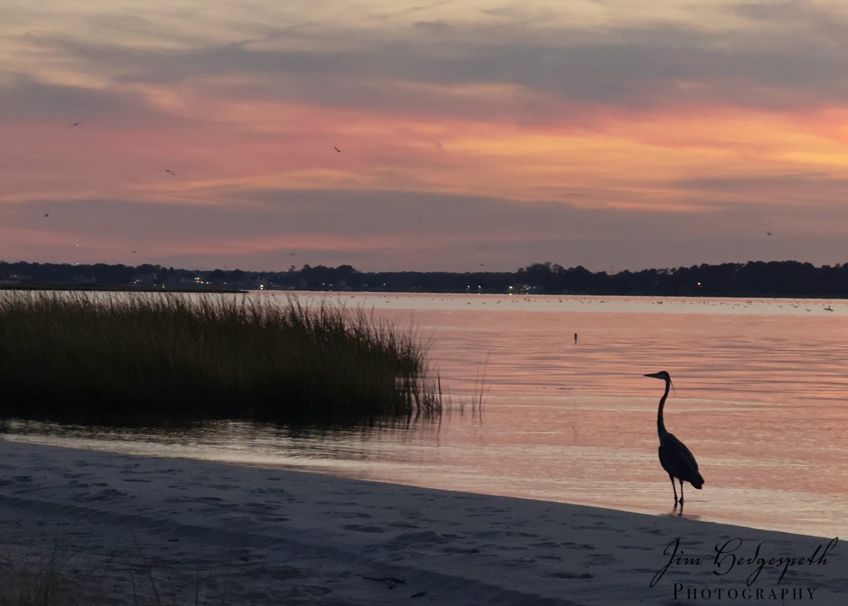 2026-09-08SeagrassAfterSunset-4772-scaled