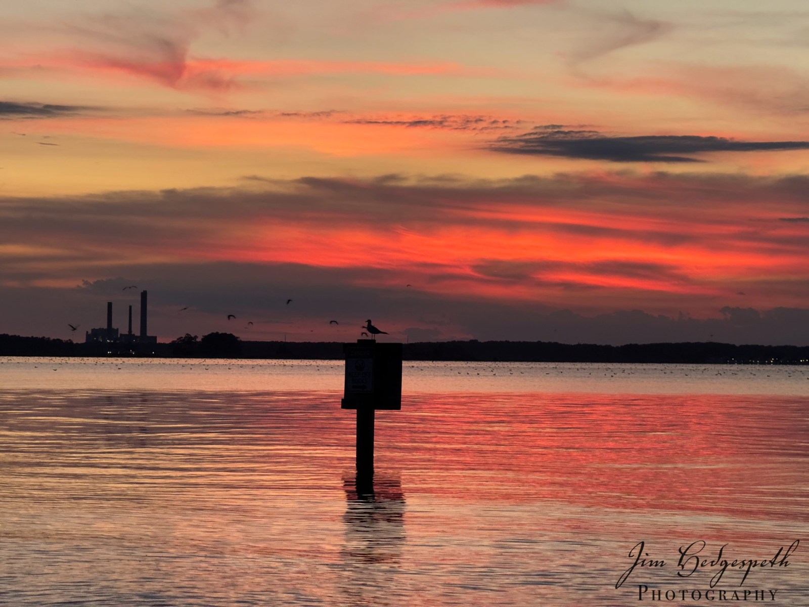 2026-09-08SeagrassAfterSunset-4774-scaled
