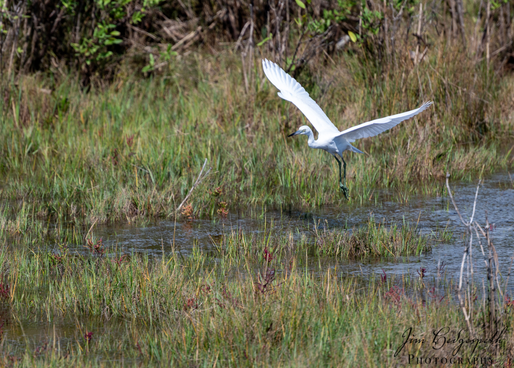 2026-09-30AssateagueStatePark-4366