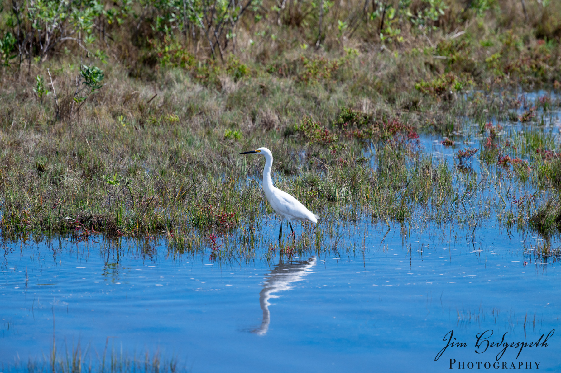 2026-09-30AssateagueStatePark-4392