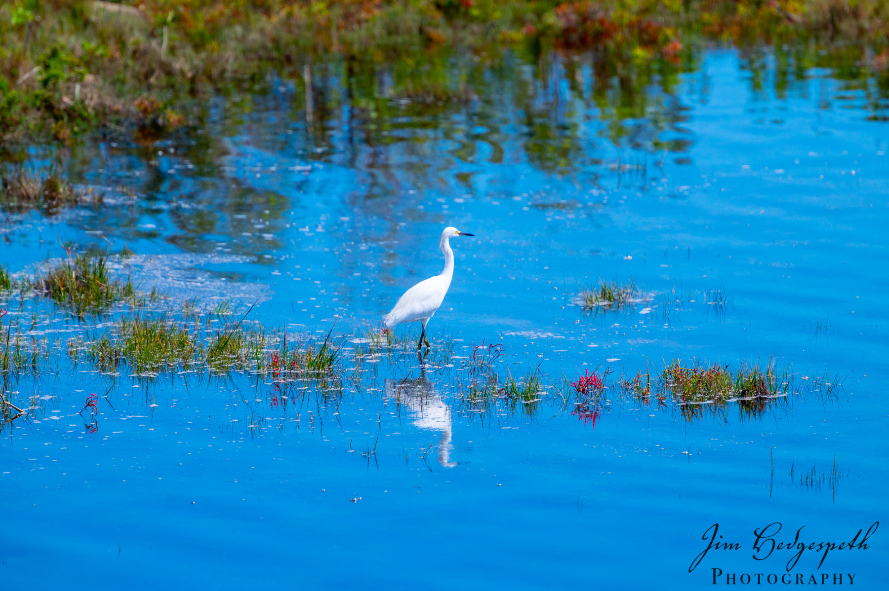 2026-09-30AssateagueStatePark-4394