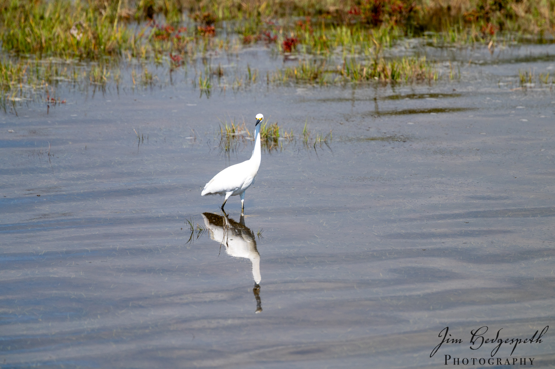 2026-09-30AssateagueStatePark-4396