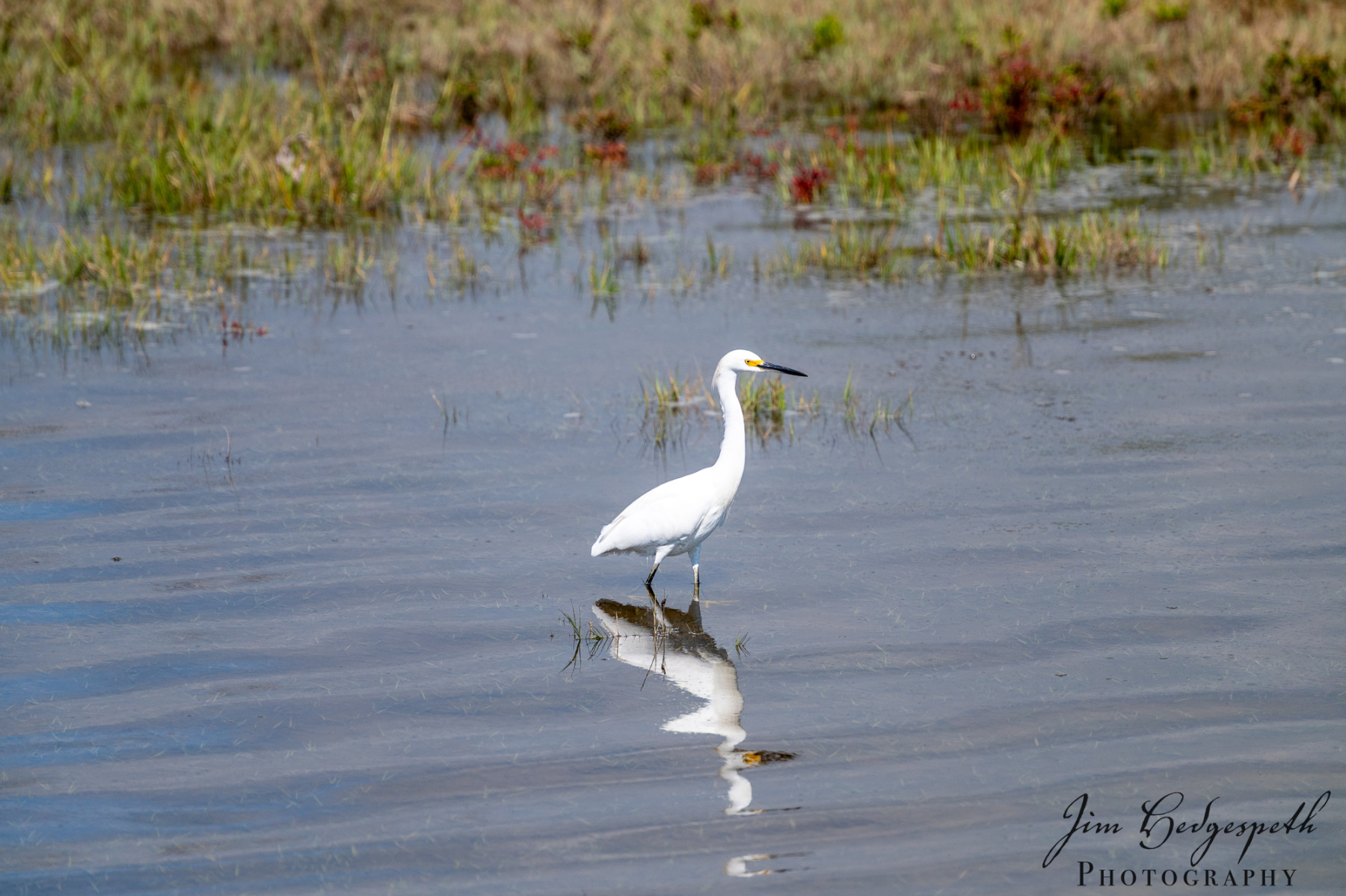 2026-09-30AssateagueStatePark-4398